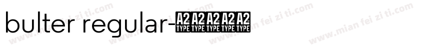 bulter regular字体转换